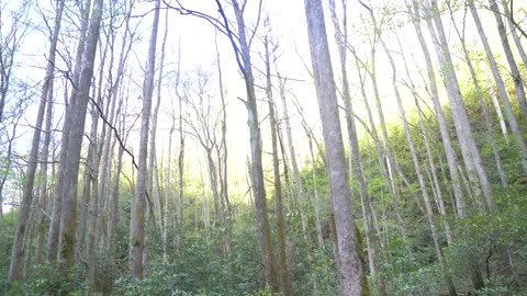 my LAST jeep camping in The Blue Ridge Mountains