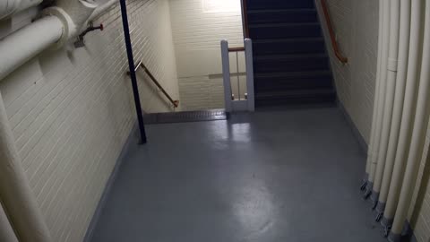 3891FHOB05Stair4_2021-01-05_03h00min01s557ms.mp4