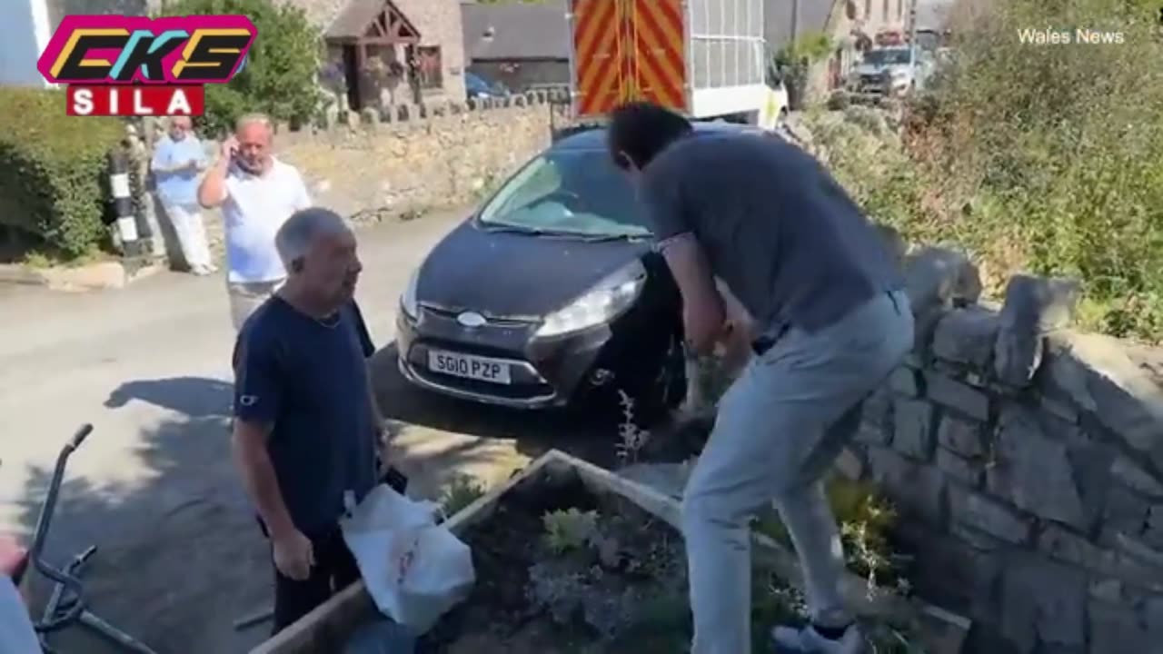 'What kind of creature are you?': Angry man destroys flower bed