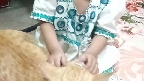 This video is about a child and a cat meet first time