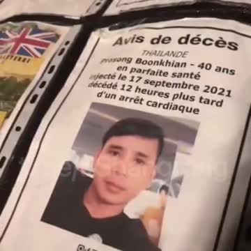 在“法國看到的臨時墓碑”_為新冠疫苗實驗針劑受害逝去的生命，所立的“紀念影像”（一張張令受害者家屬們心碎的照片）