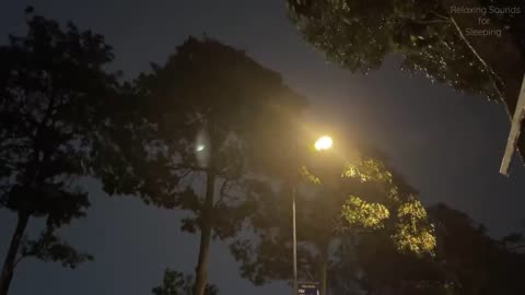 Tropical Storm - Heavy Rain with Strong Thunder at Night - Thunder Rain Sounds for Relax, Sleep ASMR