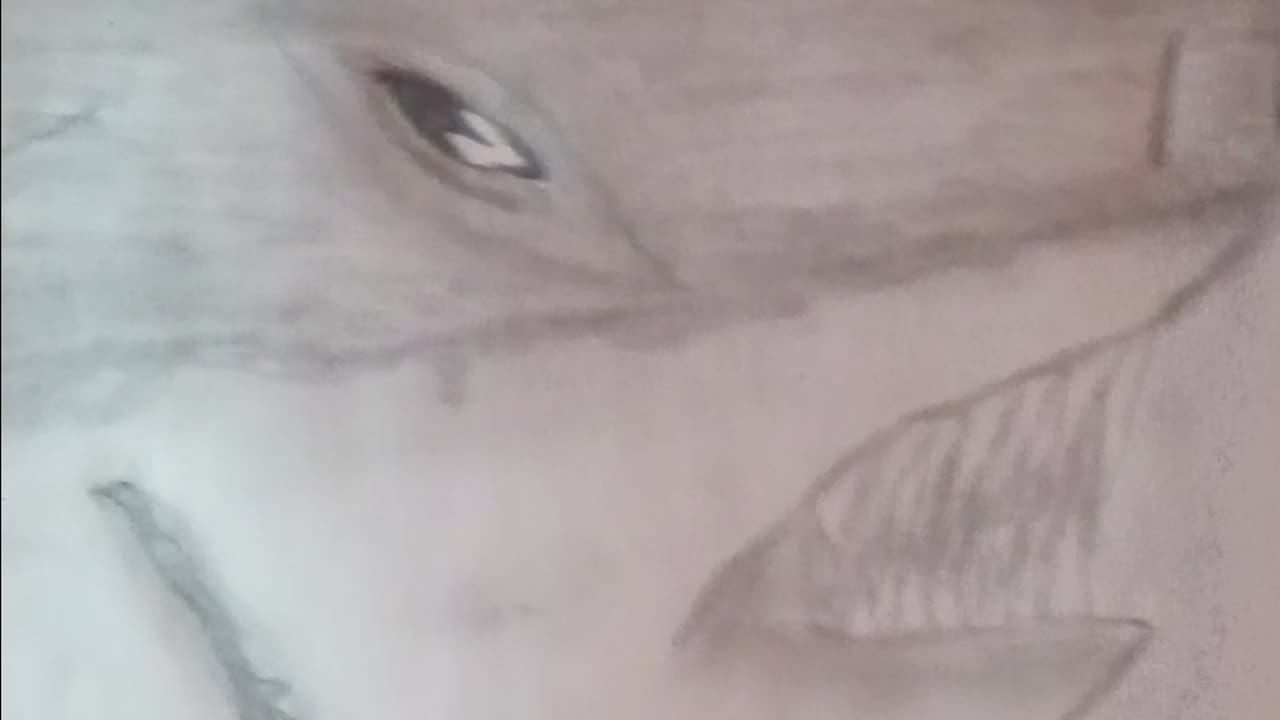 Random Art