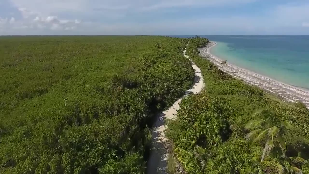 Sea waves & beach drone video