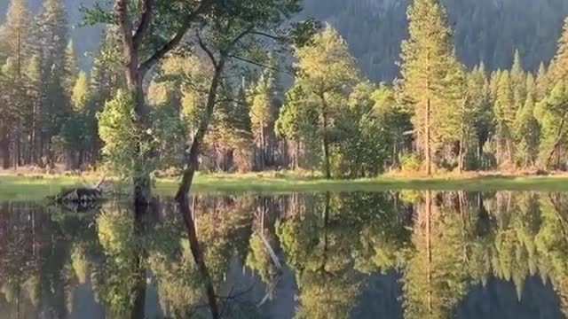 The perfect morning reflection and nature sounds