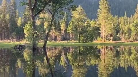 The perfect morning reflection and nature sounds