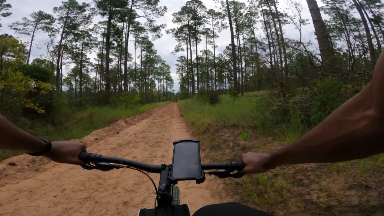 Thick Sand and Green Grass