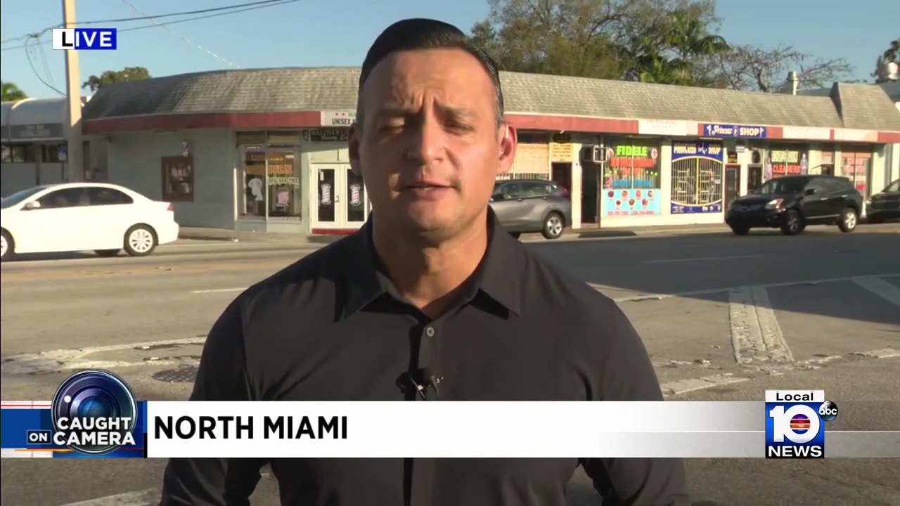 Surveillance video captures SUV crashing into family in North Miami