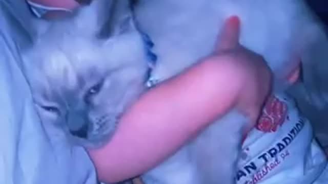 My child savagely hugs the cat when he sleeps<<