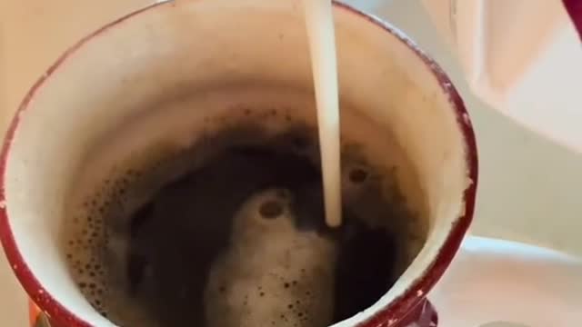 #carnivore #coffee #tamararoseblodgett