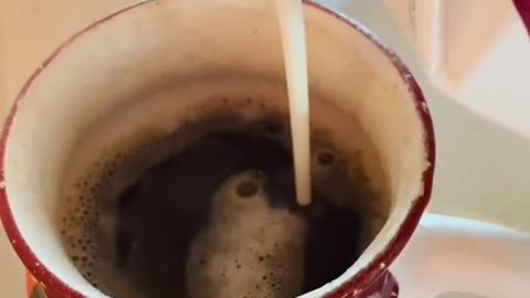 #carnivore #coffee #tamararoseblodgett