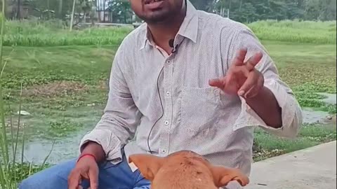 Dog Lover emotional video