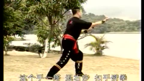 Hun Gar Kung Fu