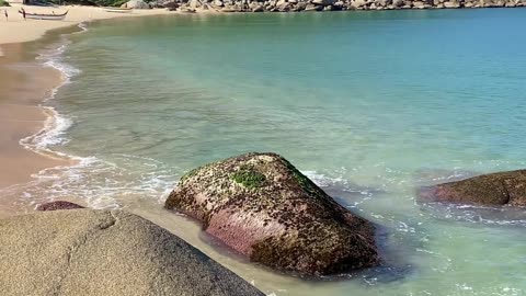 Caminhada Imersiva na deslumbrante Praia da Tainha, Bombinhas: Conectando-se com o paraíso