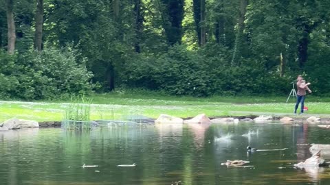 Expert Level Rock Skipping