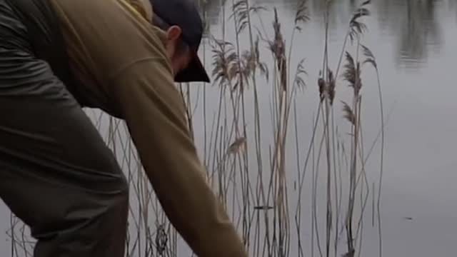 Phil out targeting them autumn roach