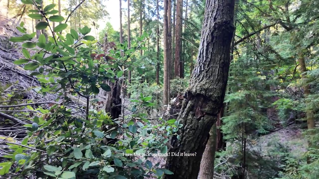 WE SNUCK INTO BOHEMIAN GROVE - What they don't want you to see.