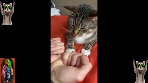 Funny Animal Videos 2024 🥰 - Funniest Dogs and Cats Videos 😅 # 01