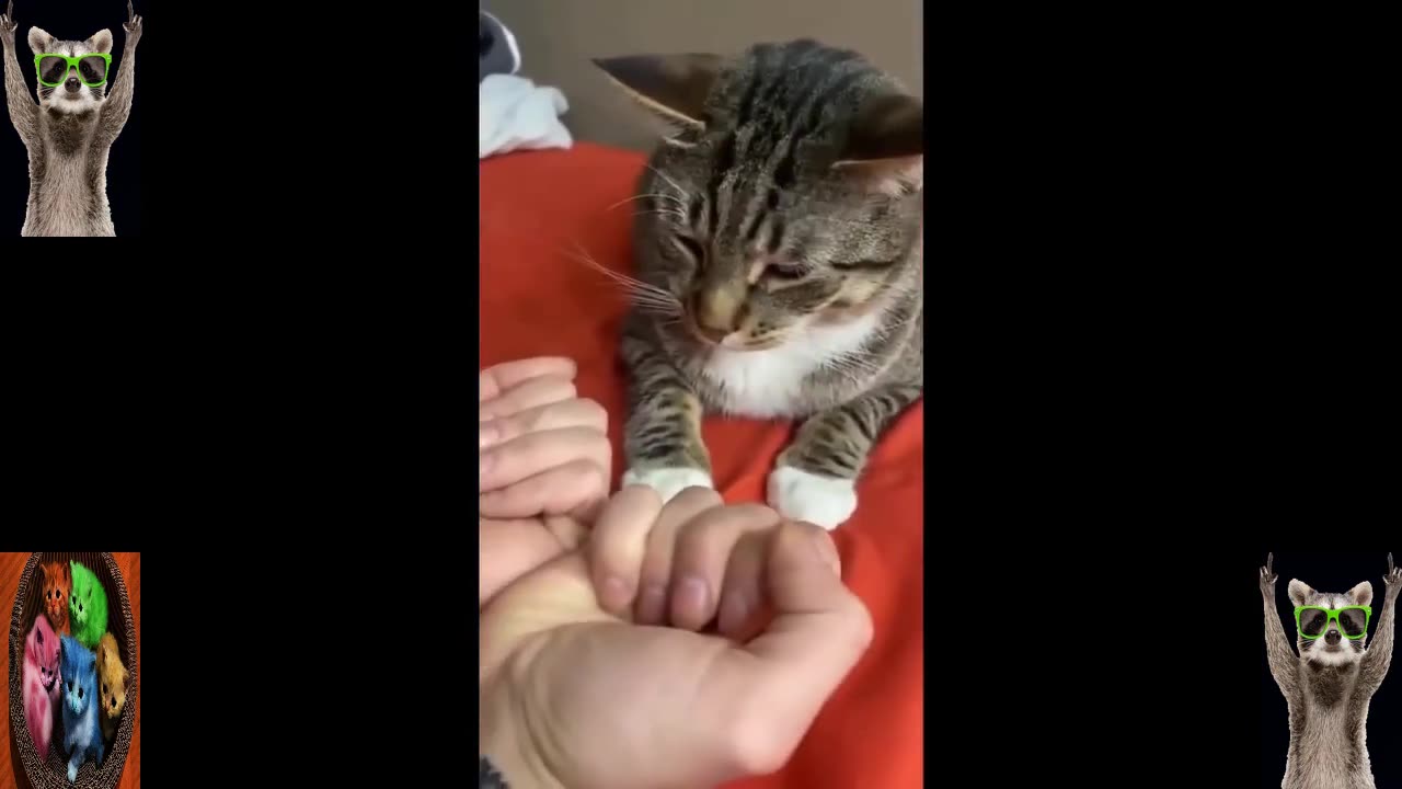 Funny Animal Videos 2024 🥰 - Funniest Dogs and Cats Videos 😅 # 01