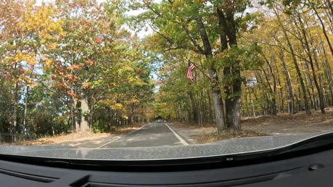 Tunnel Under Trees