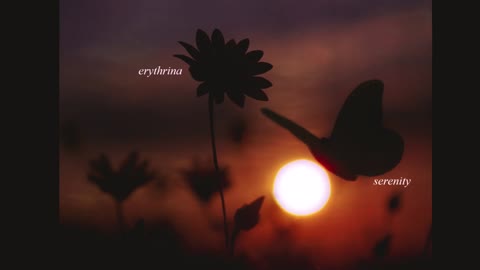 "Memoirs of the Sun" by Erythrina