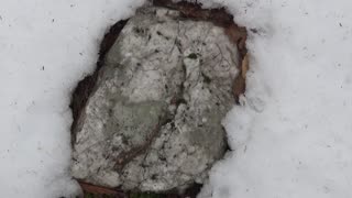 Quartz