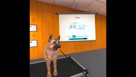 Trailer for Virtual Reality Dog Training Center