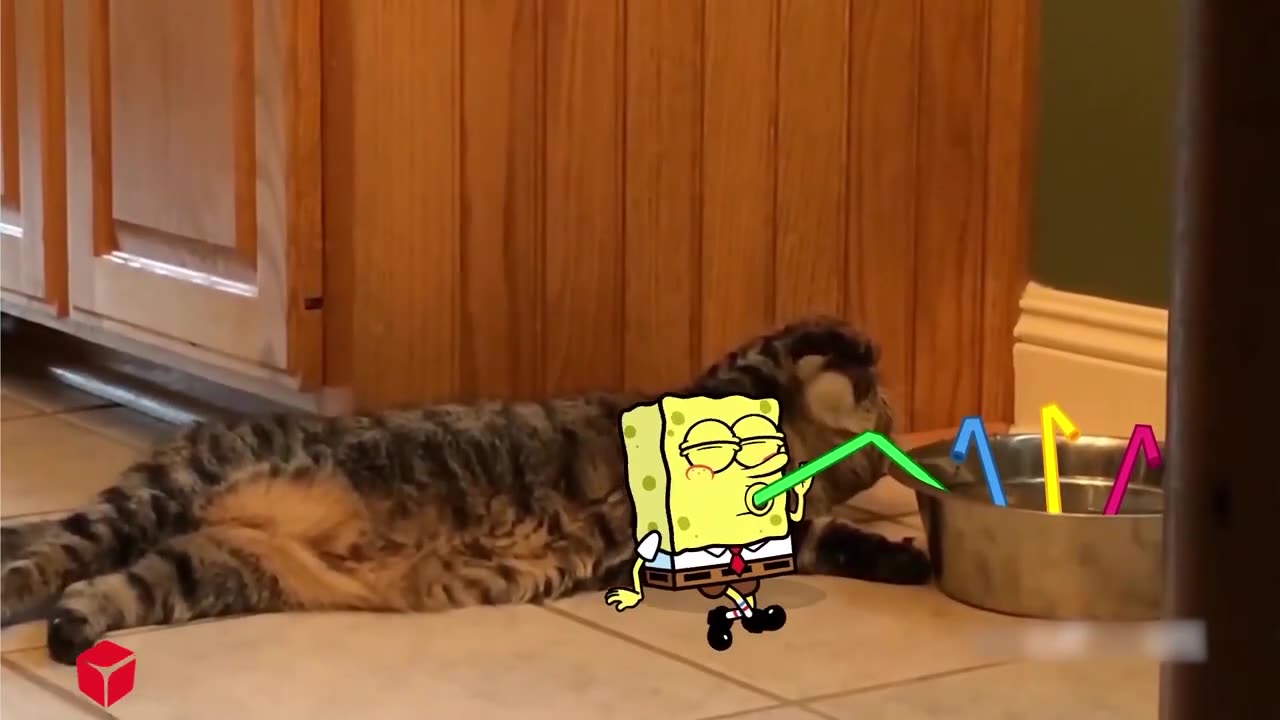 Try Not To Laugh Challenge 😂Best Funny Dogs And Cats Videos😇 Spongebob in Real Life #rumble