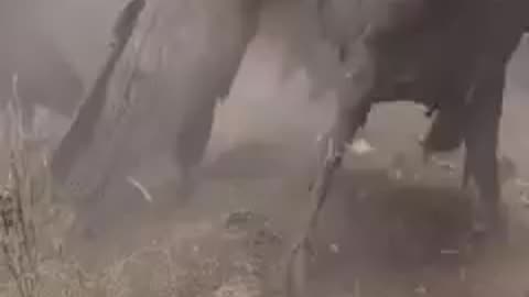 NOW, Getting rid of the deep state, is easier than ever.