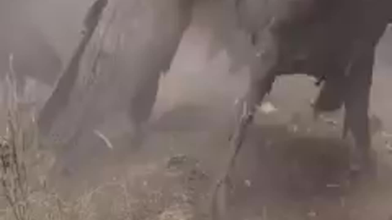 NOW, Getting rid of the deep state, is easier than ever.