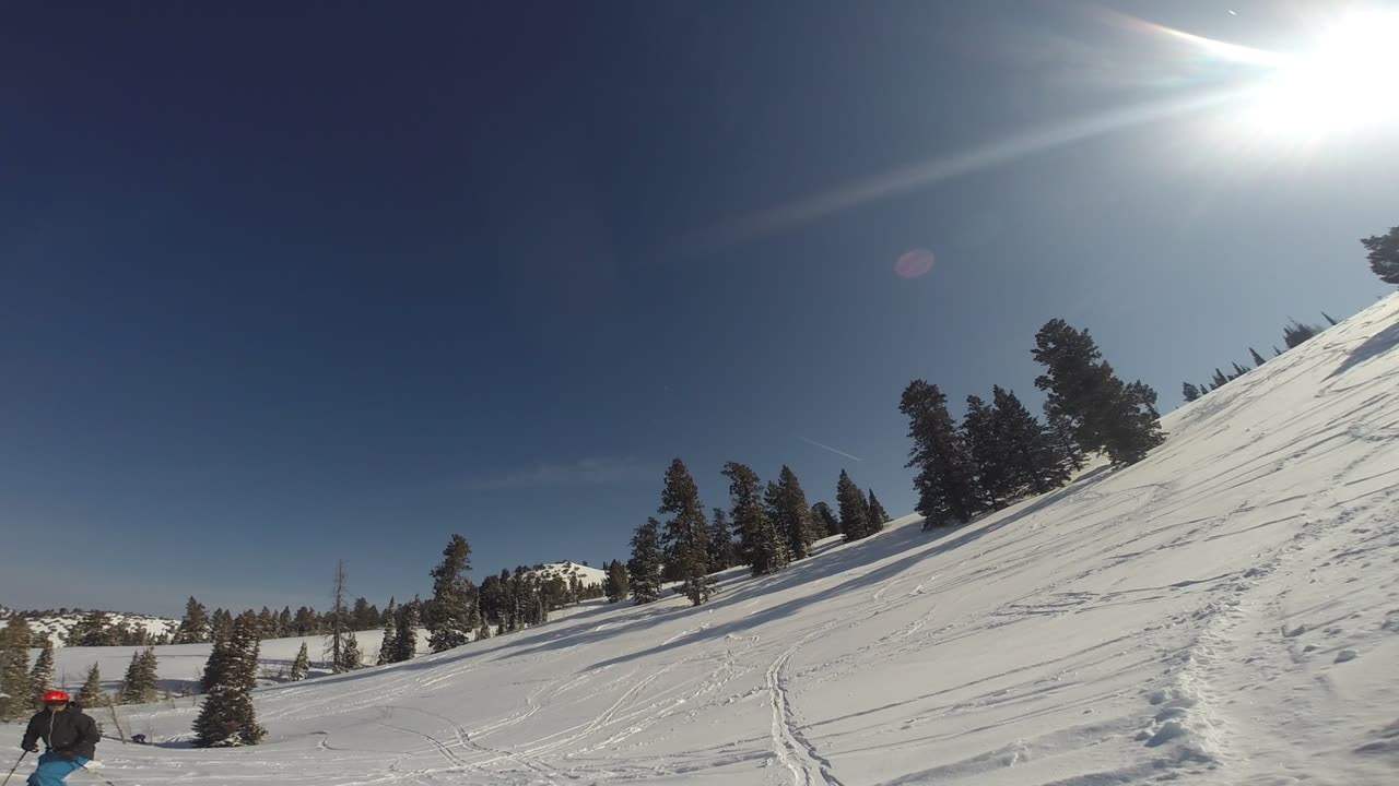 3/25/19 the camera on my back shooting Terry have no idea what run this is