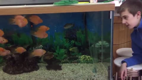 Funny kids At the Aquarium