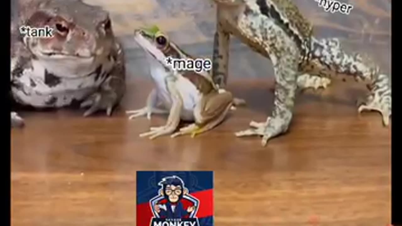 Every moba Games story