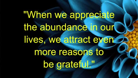 Gratitude and Abundance