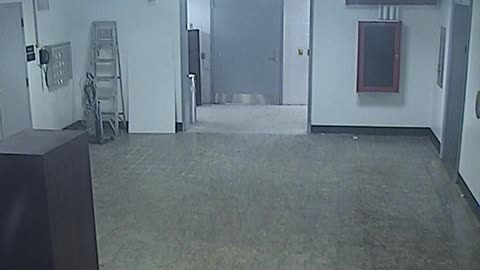 6029RHOBG1G102ALobbyEntrance_2021-01-05_01h20min01s270ms.mp4