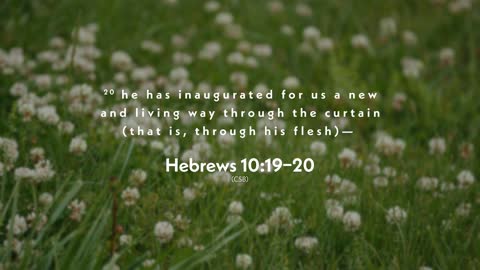 Hebrews (Lesson 6)