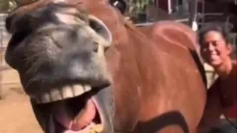 Funniest Animals Videos 2023 😍