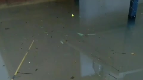 This is a beautiful and charming water-dwelling species