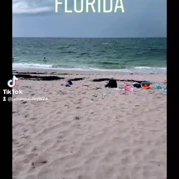 At The Beach Florida