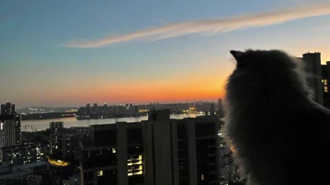 I want to watch you from the window