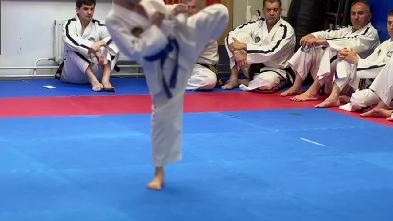 Taekwondo