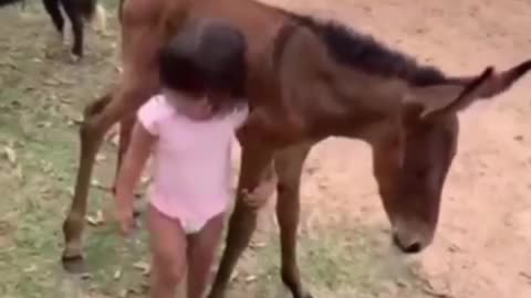 baby enjoys with his horse