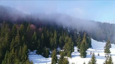 Nature 2 | Beautiful Nature