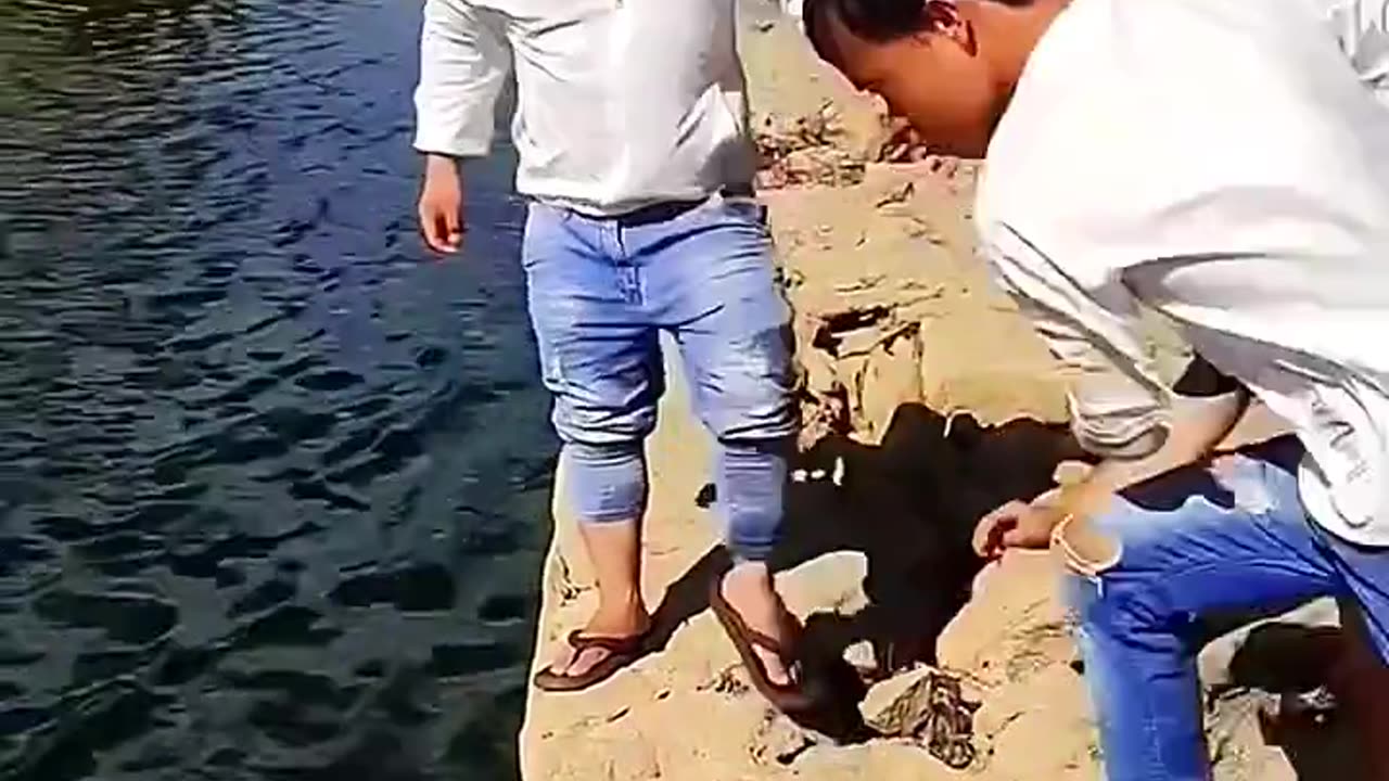 Chinese funnest video tiktok viral funny video clips for you Tranding