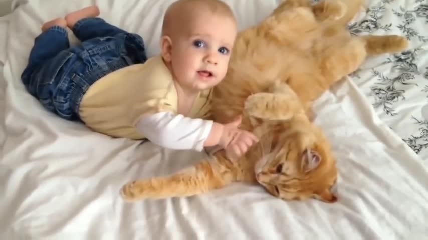 Cute Baby Playing With cat , lovly cat, i love cat ||