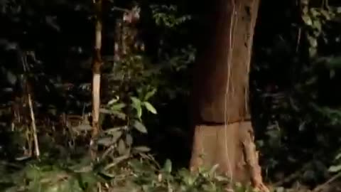 Michael Jackson - Earth Song