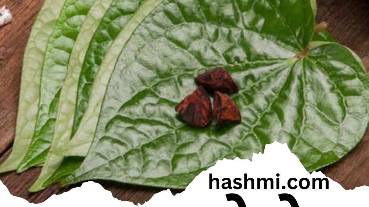 Three amazing benefits of eating betel leaf