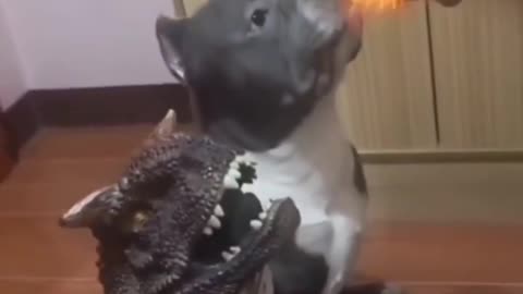 Doguinho inteligente