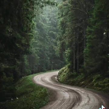 Everything Comes & Goes Through Your Awareness