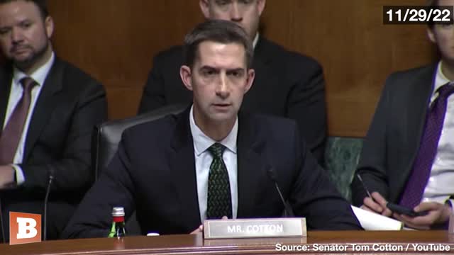 Sen. Cotton RIPS Kroger CEO for Allegedly Firing Workers Who Refused to Wear Gay Pride Symbol